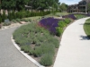 Gardens.jpg